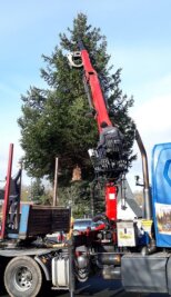 Rothenfurth/Großschirma: Erster Weihnachtsbaum steht schon - Die Fichte wurde am Samstag auf dem "Untermarkt" in Rothenfurth aufgestellt.