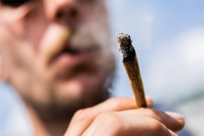 Sachsen ist auf die Legalisierung von Cannabis schlecht vorbereitet - Seit Ostermontag dürfen Erwachsene offiziell kiffen.