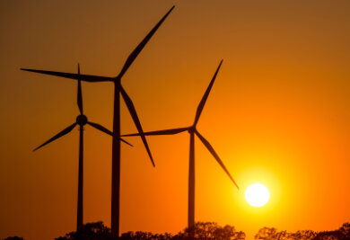 Sachsen plant neue Regeln zum Ausbau der Windenergie - 