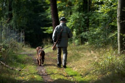 Sachsens Jäger nehmen zu wenige Wildschweine aufs Korn - Rund 10.500 Jäger sorgen in Sachsen für die waid- und tierschutzgerechte Jagd des heimischen Wildes. 