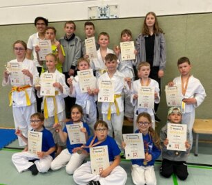 Sächsische Karateka bündeln Kräfte - Gute Ausbeute: 14 Medaillen haben die Rochlitzer Karate-Talente aus Oelsnitz mit nach Hause gebracht. 