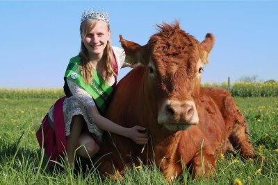 Sächsische Milchkönigin kommt aus dem Vogtland - Sandra Hartenstein aus Helmsgrün mit einem Limousin-Rind aus der Herde der Eltern. 