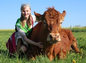 Sächsische Milchkönigin kommt aus dem Vogtland - Sandra Hartenstein aus Helmsgrün mit einem Limousin-Rind aus der Herde der Eltern.