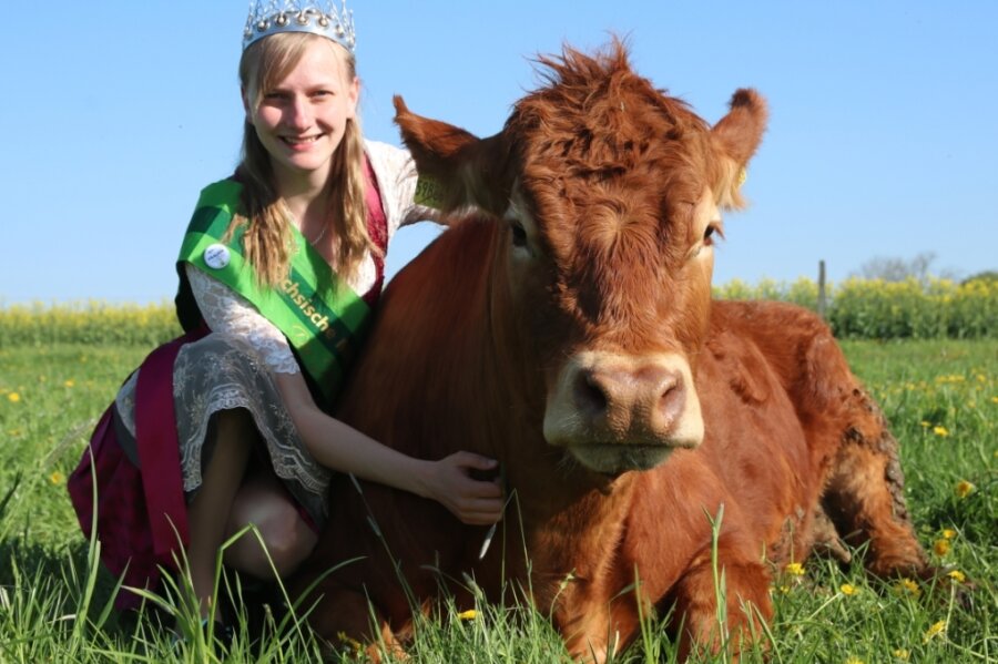 Sandra Hartenstein aus Helmsgrün mit einem Limousin-Rind aus der Herde der Eltern.