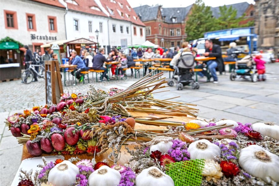 Sächsisches Landeserntedankfest in Mittweida: So groß wird das Festgelände - Am letzten Septemberwochenende findet das Erntedankfest in Mittweida statt.