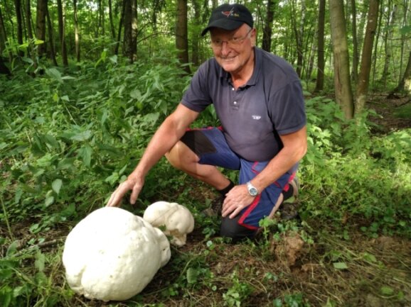 Etwa so groß wie ein Basketball ist der Riesenbovist, den Dietmar Schmuck im Wald zwischen Langenberg und Schwarzbach gefunden hat. 