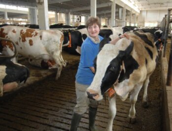 Schönberger Milchbauern drosseln die Produktion - 
              <p class="artikelinhalt">Gabi Dietrich, Mitarbeiterin in der Milchviehanlage in Remse, wird ihren 1100 Tieren pro Tag etwa drei Tonnen weniger Futter geben.</p>
            