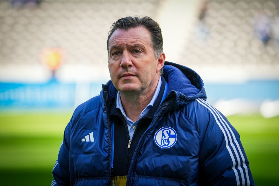 Schalke-Sportdirektor Wilmots: "Keine Trainerdiskussion" - Schalke-Sportdirektor Marc Wilmots stellt sich vor seinen Trainer.