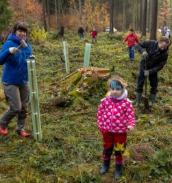 Schatzsucher verbinden Spaß mit Engagement für die Natur - Unweit der Talsperre Werda haben Norman Kreß sowie Katrin und Mirjam Ulemann aus Altenburg zusammen mit mehr als 20 Geocachern Weißtannen und Bergahorn gepflanzt. 