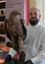 Schau klärt über Rolle des Falken im Mittelalter auf - Museumsleiter Christian Landrock mit einem der prächtigen Vögel, die in der Sonderausstellung gezeigt werden. 