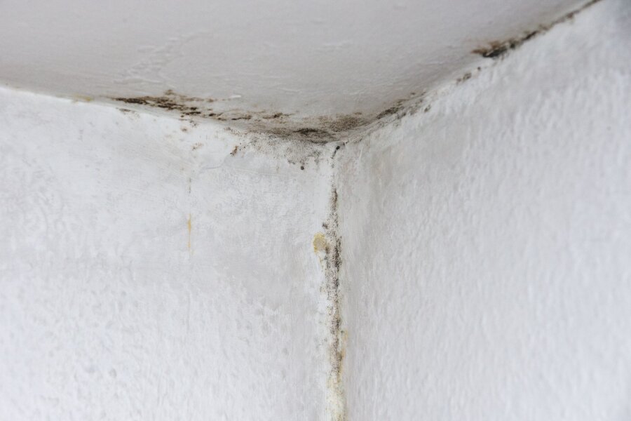 Schimmel an der Wand nicht mit Essig entfernen - Schimmel in der Wohnung? Nicht immer muss das an falschem Lüften liegen.