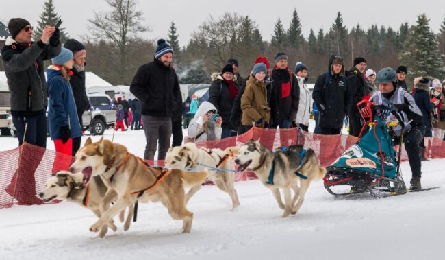 Der Lausitzer Sportverein reinrassiger Schlittenhunde e. V. veranstaltet an diesem letzten Wochenende im Februar zum 20. Mal ein internationales Schlittenhunderennen im Areal des Waldgasthofes Bad Einsiedel in Seiffen.