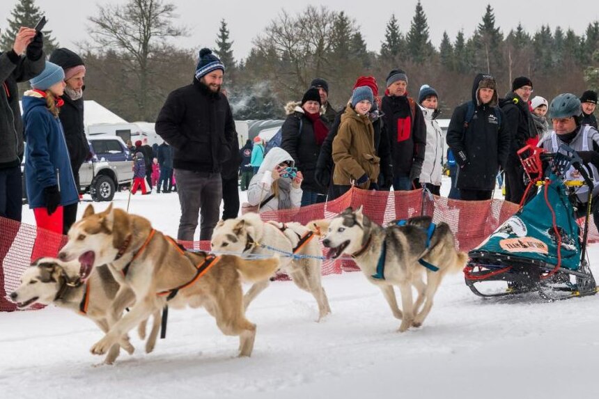 Der Lausitzer Sportverein reinrassiger Schlittenhunde e. V. veranstaltet an diesem letzten Wochenende im Februar zum 20. Mal ein internationales Schlittenhunderennen im Areal des Waldgasthofes Bad Einsiedel in Seiffen.