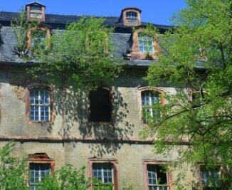 Schloss Neusorge wird zwangsversteigert - Ein Baum wächst durchs Dach, mehrere Fenster sind kaputt. Die Rückansicht zeigt: Schloss Neusorge ist in besorgniserregendem Zustand.