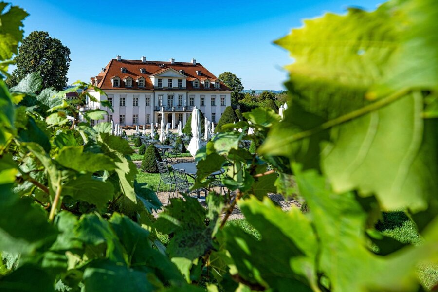 Schloss Wackerbarth: Mehr Weinerlebnis, weniger Groß-Events - Idyllisch gelegen: Die barocke Anlage von Staatsweingut Schloss Wackerbarth in Radebeul.