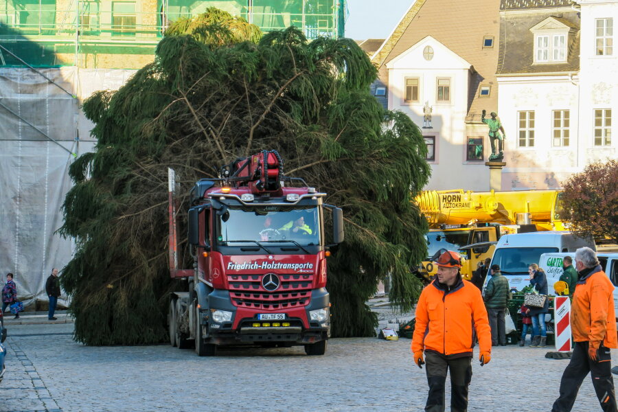 Schneeberg hat seinen Weihnachtsbaum - Am Donnerstag gegen 9 Uhr kam der Weihnachtsbaum in Schneeberg an.