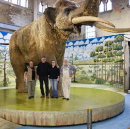 Schneeberger malt Urzeitpanorama - Elefantenstarkes Team: In der Pfännerhall Braunsbedra hat Günter Eckardt (r.) mit Dominique Görlitz (l.), Harald Lanta und Heike Vogel den Hintergrund für die Präsentation des Urelefanten geschaffen. 