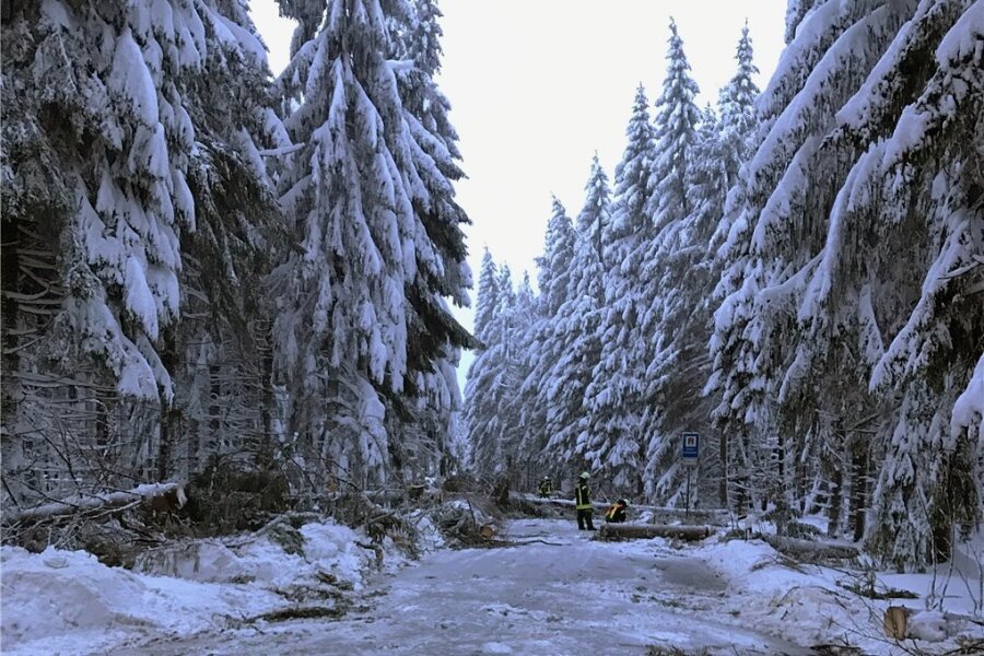 Schneebruch: Kühnhaide und Rübenau einen Tag von Außenwelt abgeschnitten - Auf einer Strecke von 400 Metern fällten die Kameraden der Freiwilligen Feuerwehr Reitzenhain am Samstagnachmittag 20 Bäume und beräumten Schneebruch.