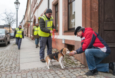 Schnüffel-Training in Rochlitzer Innenstadt - Hündin Lea hat mit Hundeführer Detlev Ungethüm aus Niederwiesa die versteckte Person, hier Janus Neszmelyi, gefunden.