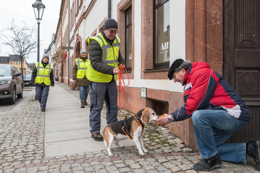 Schnüffel-Training in Rochlitzer Innenstadt - Hündin Lea hat mit Hundeführer Detlev Ungethüm aus Niederwiesa die versteckte Person, hier Janus Neszmelyi, gefunden.