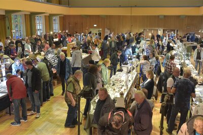 Schönheiten und Raritäten locken auf der Mineralienbörse in Oelsnitz Besucher an - Rund 700 Besucher zählte die 19. Mineralienbörse in der Vogtlandsporthalle Oelsnitz.