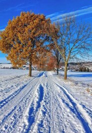Schönstes Winterfoto gesucht - 