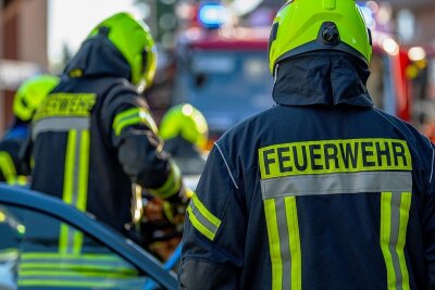 Schon wieder Feuer im Rabensteiner Wald - Polizei ermittelt - Die Feuerwehr musste im Rabensteiner Wald schon wieder ein Feuer löschen. Erst vor drei Wochen hatte es dort gebrannt.