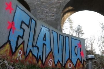 Schon wieder wilde Graffiti aufgetaucht - Im Bereich der neuen Hirschgrundbrücke kam es zu dieser Schmiererei. 