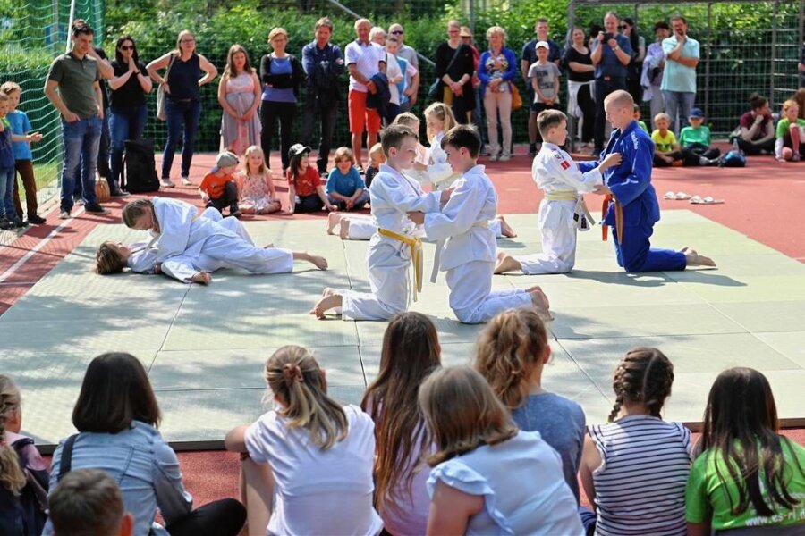 Schulfest in Seelitz: Gäste verfolgen Geschehen auf der Judomatte und Musical in der Kirche - Zum Schulfest am Samstag wurde das Ganztagesangebot Judo vorgestellt.