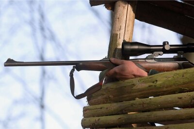Schuss auf Badegast im Waldsportbad Rebensgrün: Jäger beharrt auf geringerer Strafe - 