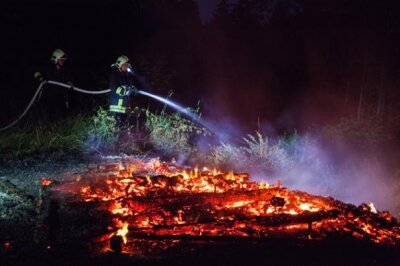 Schutzhütte in Auer Wald niedergebrannt - 