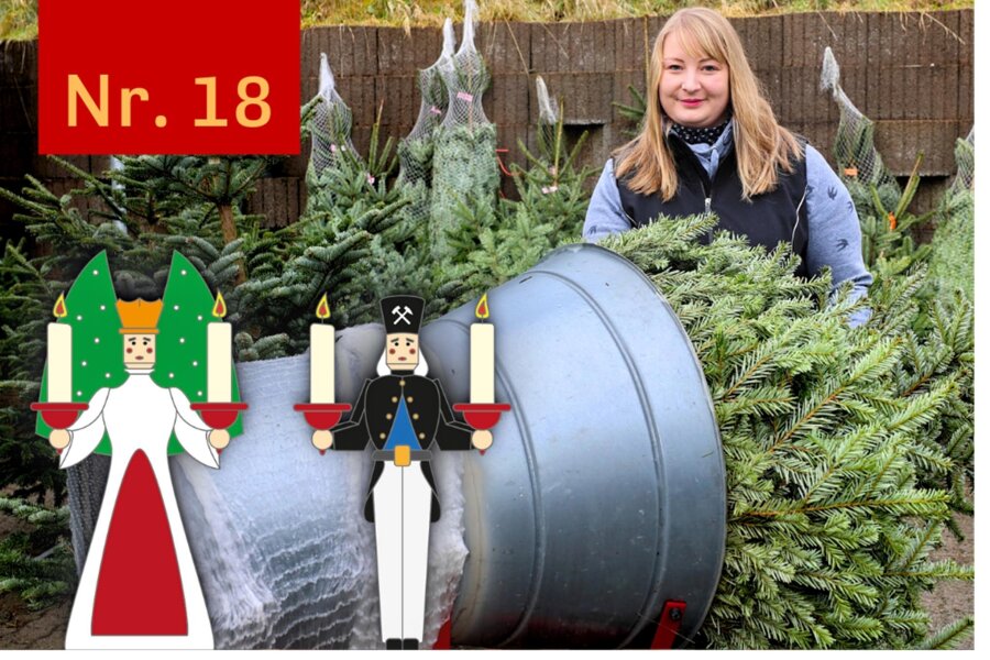 Schwarzenberger Adventskalender: Es ist höchste Zeit für einen Weihnachtsbaum - Elisa Weigel von der Gärtner Lang in Schwarzenberg kennt die Wünsche der Kunden.