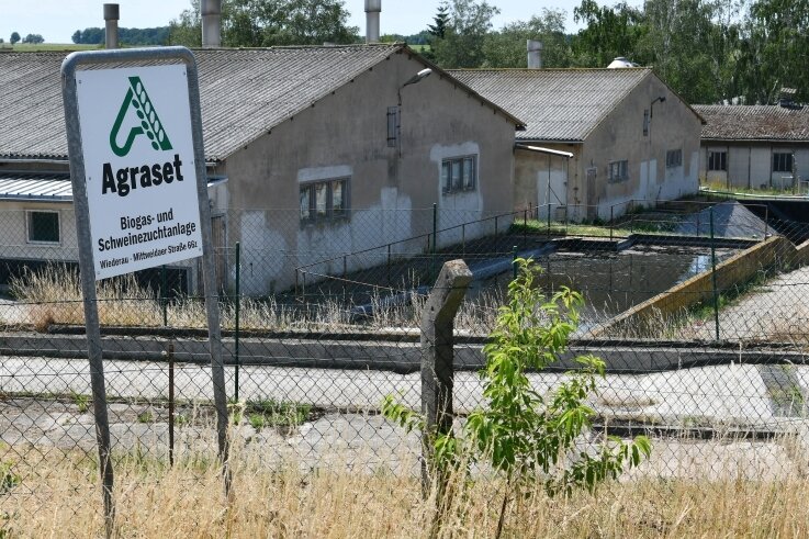 Die Schweinezuchtanlage von Agraset in Wiederau soll umgebaut werden, die Tiere mehr Platz erhalten. Auch Planungen für Stroh- und Außenklimahaltung gibt es. 