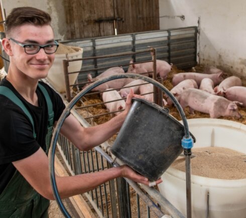 Bei der Agraset-Agrargenossenschaft Naundorf als Gründungsmitglied der Genießergenossenschaft Sachsen werden bereits Duroc-Schweine nach der Art gehalten, wie es im neuen Königshainer Stall geplant ist. Das Foto mit Auszubildendem André Berger entstand im Sommer vergangenen Jahres. 
