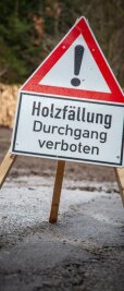 Schwere Maschinen räumen den Wald auf -  Die Verbindungsstraße K 7754 zwischen den beiden Ortsteilen  Augustusburg und Hennersdorf bleibt bis zum heutigen Freitag wegen Holzfällung gesperrt.