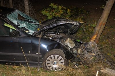 Schwerer Verkehrsunfall in Zwickau - Auto prallt gegen Zaun und Baum - 