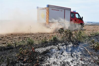 Seelitzer Feuerwehren löschen bei Neuwerder brennendes Feld - 