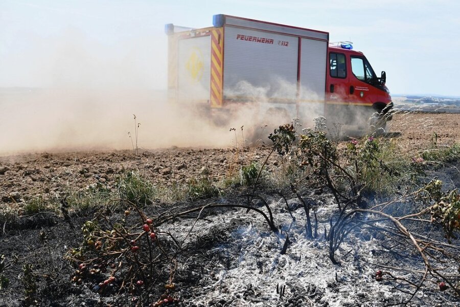 Seelitzer Feuerwehren löschen bei Neuwerder brennendes Feld - 