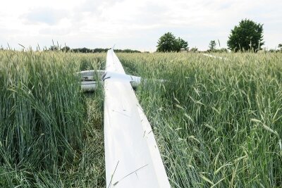 Segelflieger landet im Getreidefeld in Wildbach - 