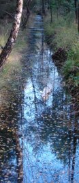 Seit wann wurden Hochmoore trockengelegt? - Ein Zeichen für den Eingriff des Menschen in das Ökosystem Moor: ein Entwässerungsgraben, hier im Bornriethmoor nördlich von Celle in Niedersachsen. 