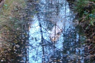 Seit wann wurden Hochmoore trockengelegt? - Ein Zeichen für den Eingriff des Menschen in das Ökosystem Moor: ein Entwässerungsgraben, hier im Bornriethmoor nördlich von Celle in Niedersachsen. 