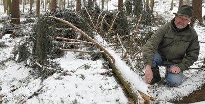Seit zehn Jahren der heftigste Schneebruch - Albrecht von Schönberg an einer durch Schneelast abgebrochenen Baumkrone im sogenannten Hohen Forst.