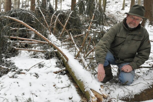 Seit zehn Jahren der heftigste Schneebruch - Albrecht von Schönberg an einer durch Schneelast abgebrochenen Baumkrone im sogenannten Hohen Forst.