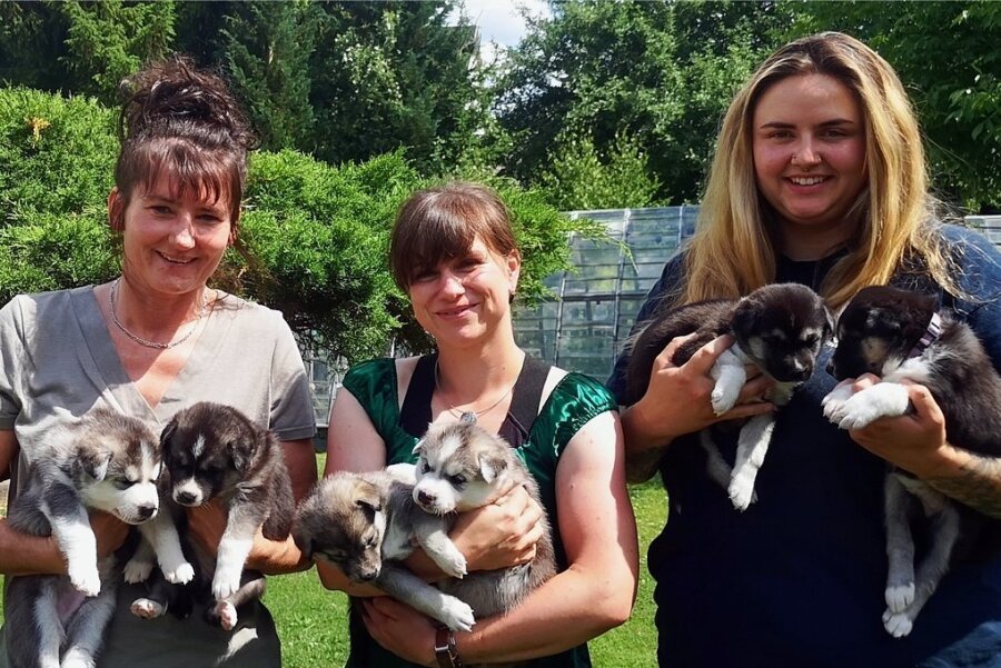 Kleine Stupsnasen sorgen für große Freude: Hundetrainerin Isabelle Koschek (Mitte) sowie Mandy Rammler (links) und Annemarie Agostinho mit einer kleinen Auswahl der Welpen.