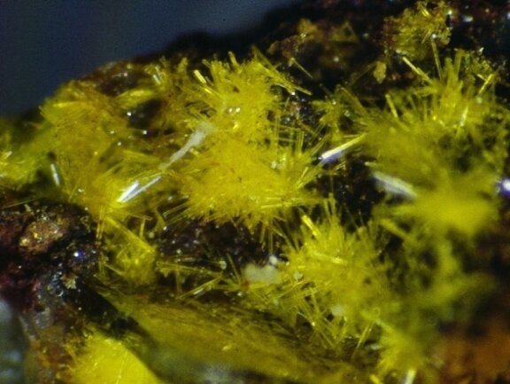 Seltenes Mineral "Yingjiangit" ist Star bei Schau in Oelsnitz - Der Yingjiangit aus Tirpersdorf ist in Oelsnitz zu sehen.