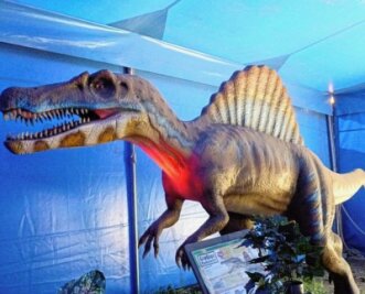 Show soll ins Dino-Land locken - Dinosaurierausstellung in Frankenberg. 