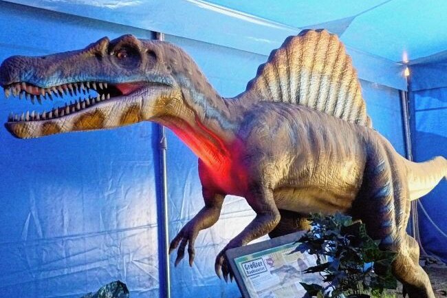 Show soll ins Dino-Land locken - Dinosaurierausstellung in Frankenberg. 