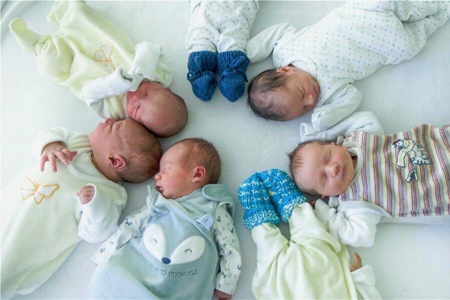 Am Dienstag sind in Aue gleich sieben Kinder zur Welt gekommen. Auf dem Bild zu sehen sind fünf davon: Florian, Bruno, Paul, Ali und Kuno. 