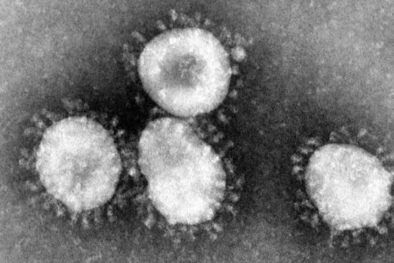 Siebtes Corona-Todesopfer im Vogtlandkreis - Das Corona-Virus hat im Vogtlandkreis ein siebentes Todesopfer gefordert.