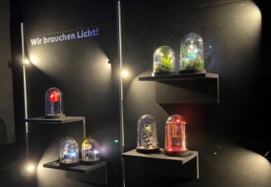 Sinnes-Energie-Ausstellung "Chemnitz leuchtet": Kinder, dann bastelt euren Strom doch selber! - Weihnachtsstimmung im Darkroom